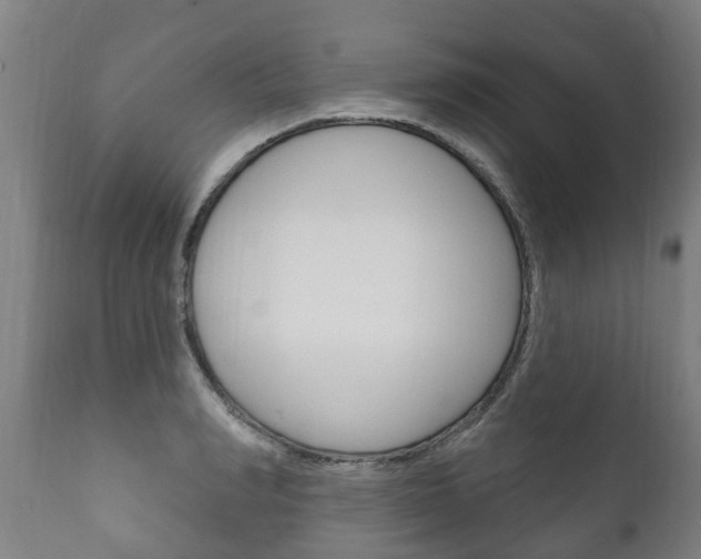 X0000111910990200907271031