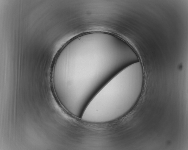 X0000111910995200907271031