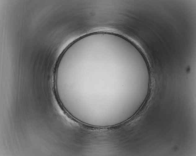 X0000111910999200907271030