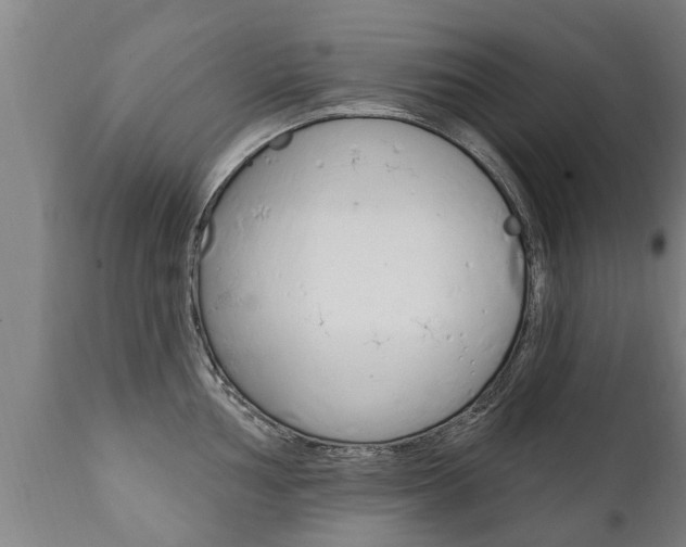 X0000111911002200907271030