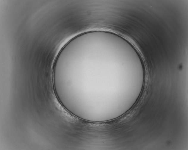 X0000111911004200907271030
