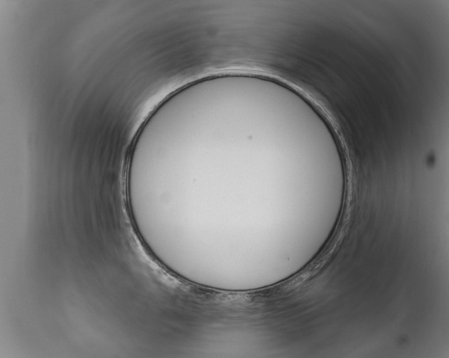 X0000111911006200907271030