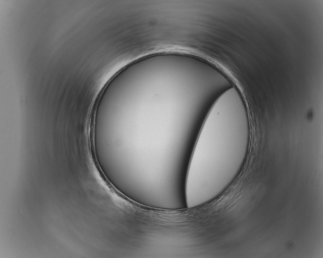 X0000111911007200907271030