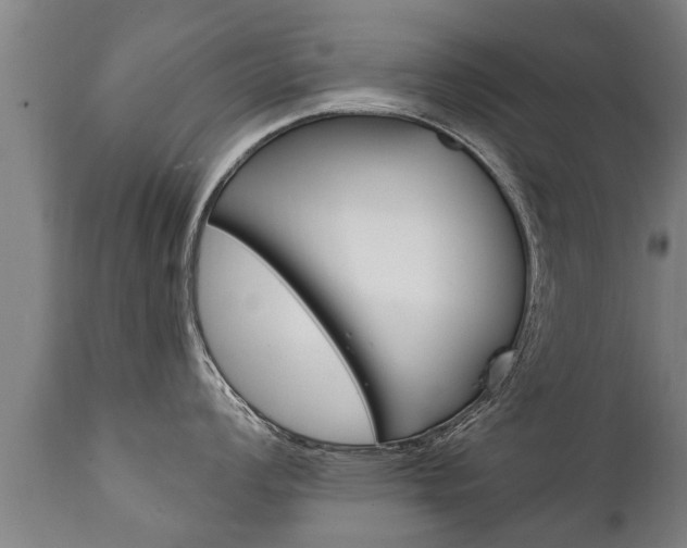 X0000111911008200907271030