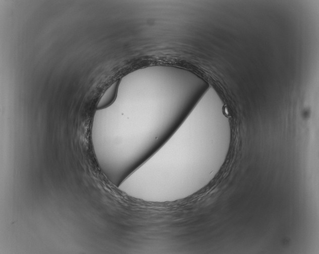 X0000111911010200907271030
