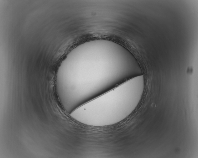 X0000111911012200907271030