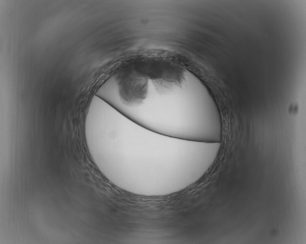 X0000111911013200907271030