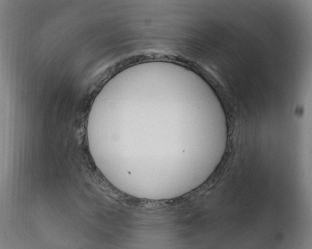 X0000111911015200907271030