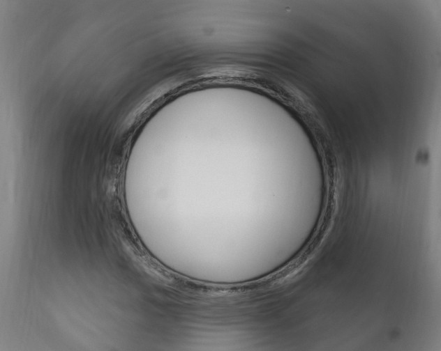 X0000111911017200907271030