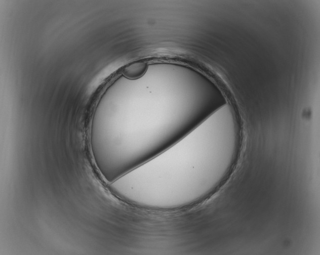 X0000111911018200907271030
