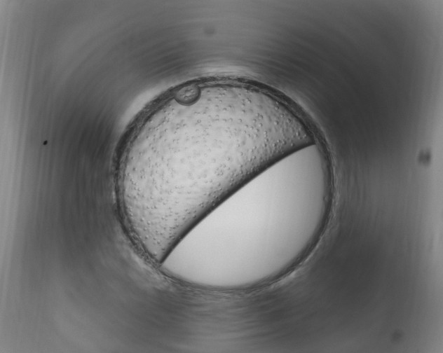 X0000111911022200907271030