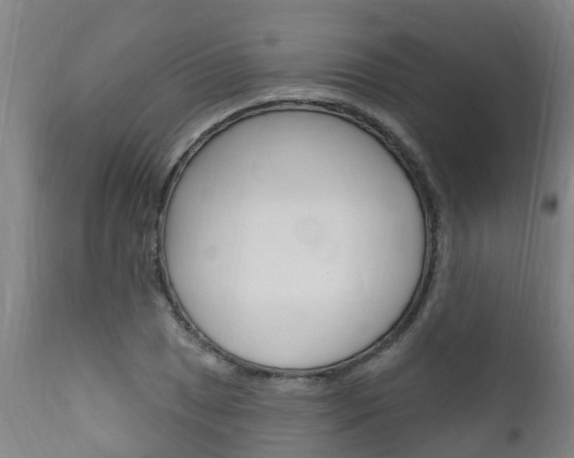 X0000111911025200907271030