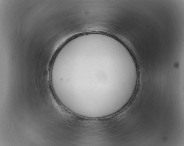 X0000111911031200907271030