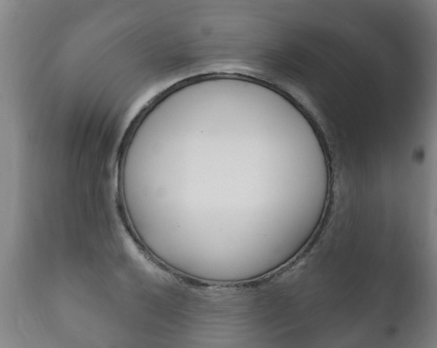 X0000111911032200907271030