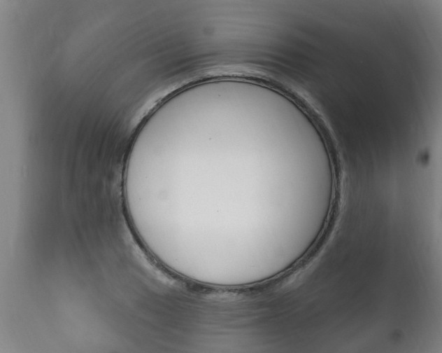 X0000111911033200907271030