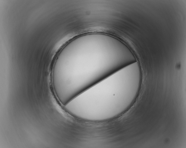 X0000111911034200907271030