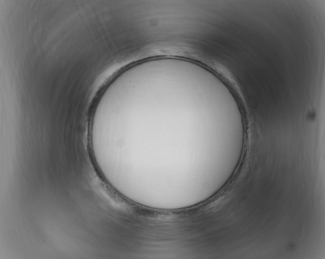 X0000111911035200907271030