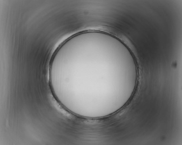 X0000111911036200907271030