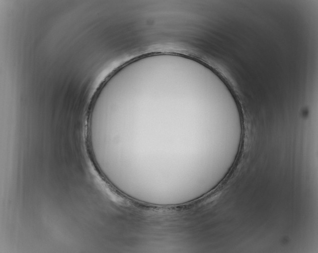 X0000111911040200907271030