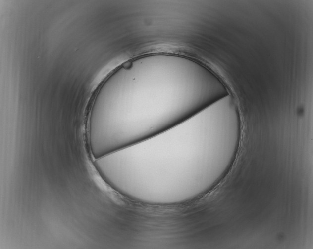 X0000111911042200907271030