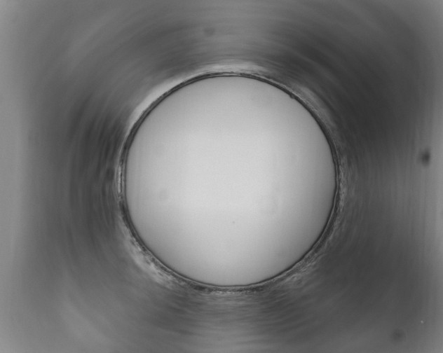 X0000111911044200907271030