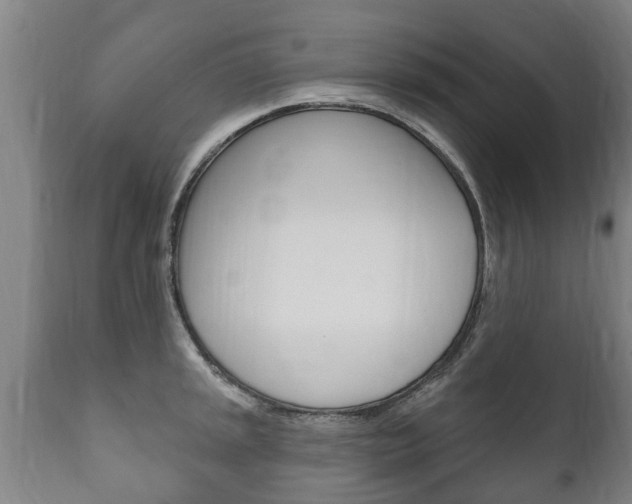 X0000111911045200907271030