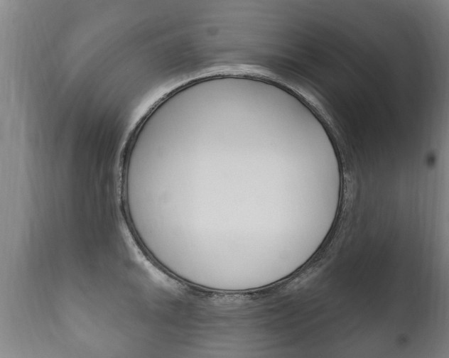 X0000111911046200907271030