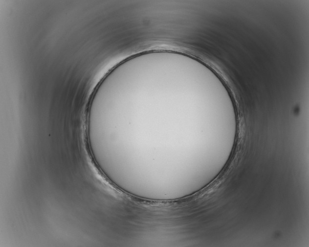 X0000111911048200907271030