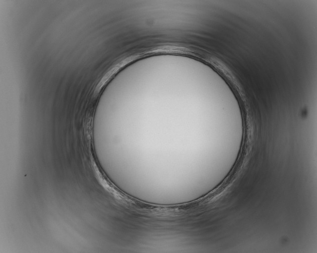 X0000111911049200907271030