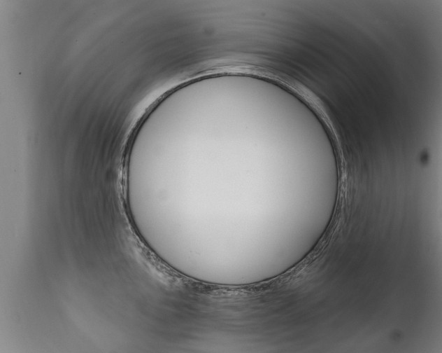 X0000111911051200907271030