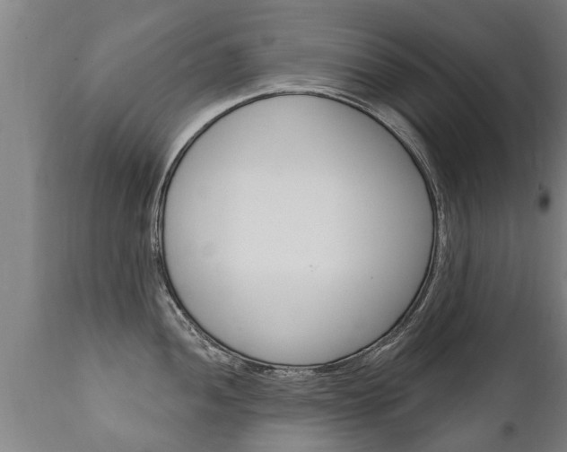 X0000111911052200907271030