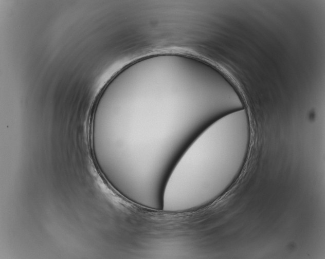 X0000111911054200907271030