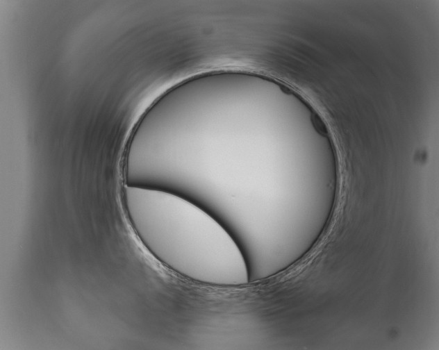 X0000111911056200907271030