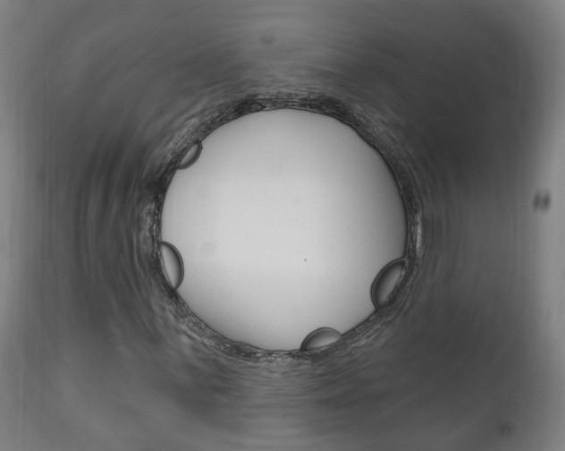 X0000111911059200907271030