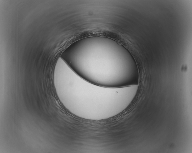 X0000111911060200907271030