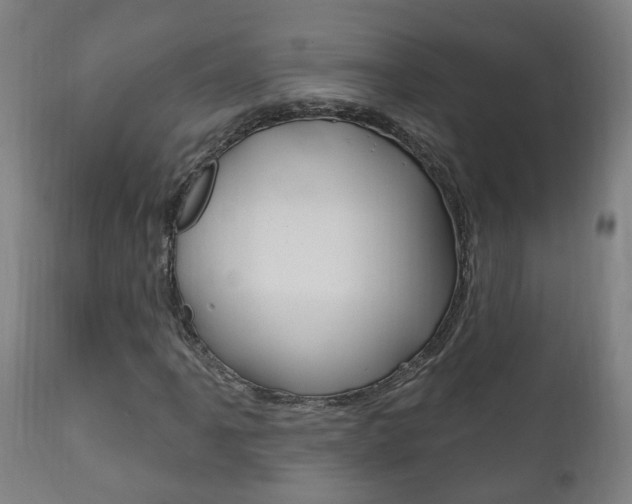X0000111911061200907271030