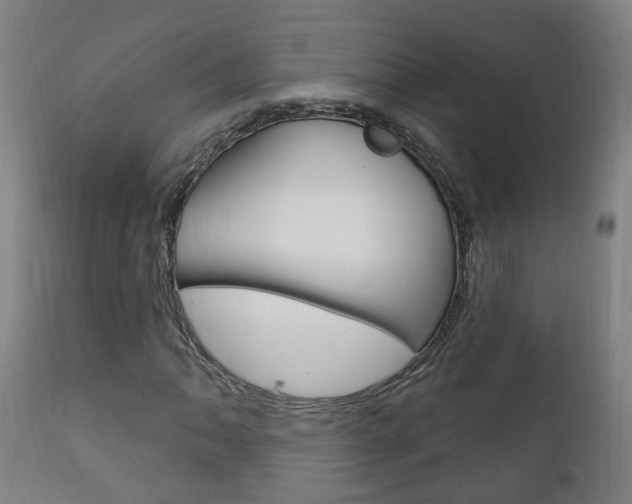 X0000111911062200907271030