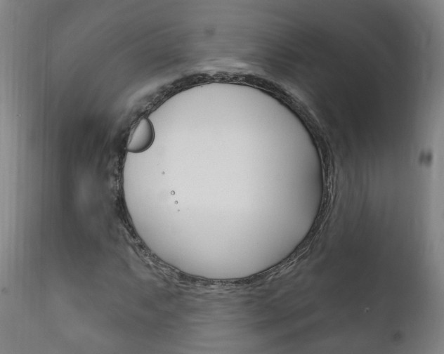 X0000111911063200907271029