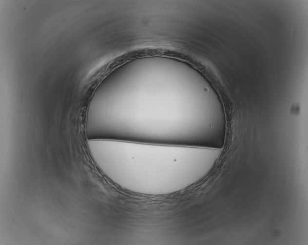X0000111911064200907271029