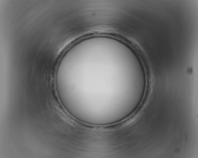 X0000111911065200907271029
