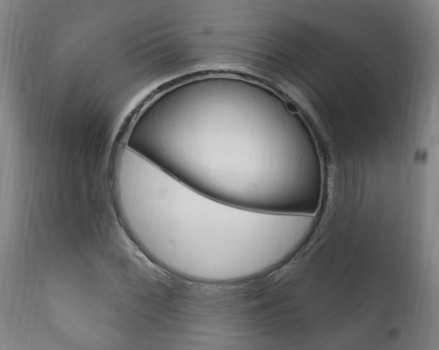 X0000111911068200907271029
