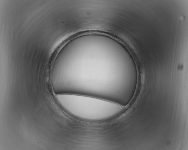 X0000111911069200907271029