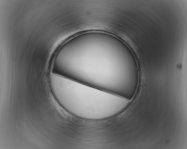 X0000111911072200907271029