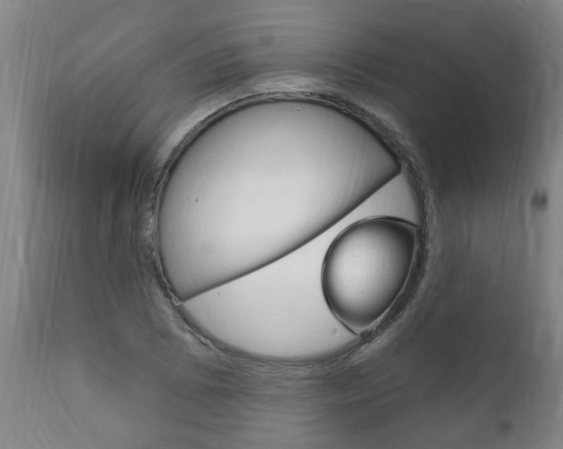 X0000111911073200907271029