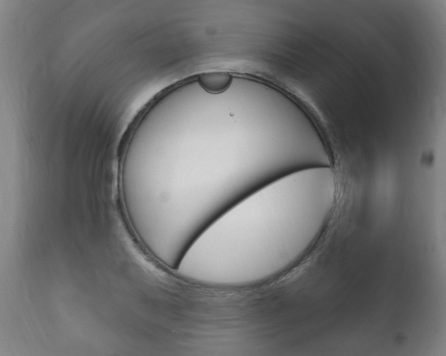 X0000111911079200907271029