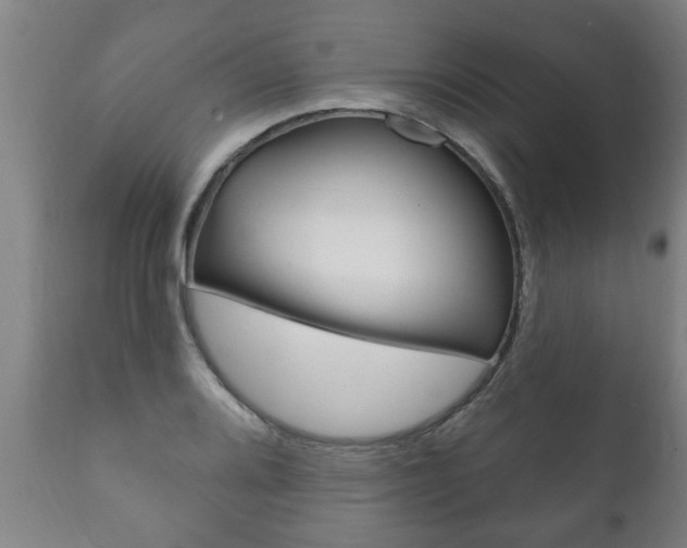 X0000111911080200907271029
