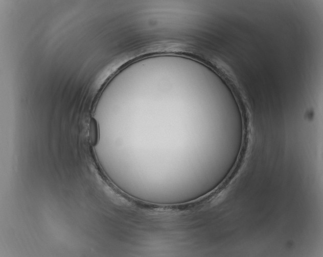 X0000111911081200907271029