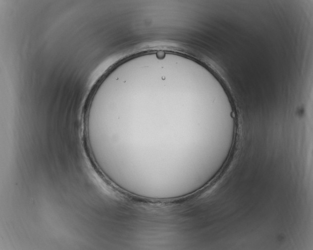 X0000111911082200907271029