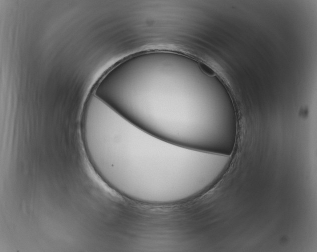 X0000111911084200907271029