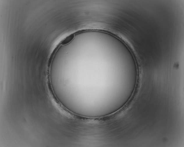 X0000111911085200907271029